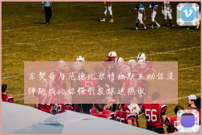 东契奇与范德比尔特幽默互动你没弹跳我比你强引发球迷热议