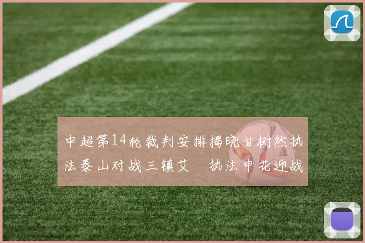 中超第14轮裁判安排揭晓甘树然执法泰山对战三镇艾堃执法申花迎战新鹏城
